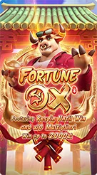 8qr · Fortune Ox